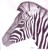 Zebra - eine Bleistiftzeichnung