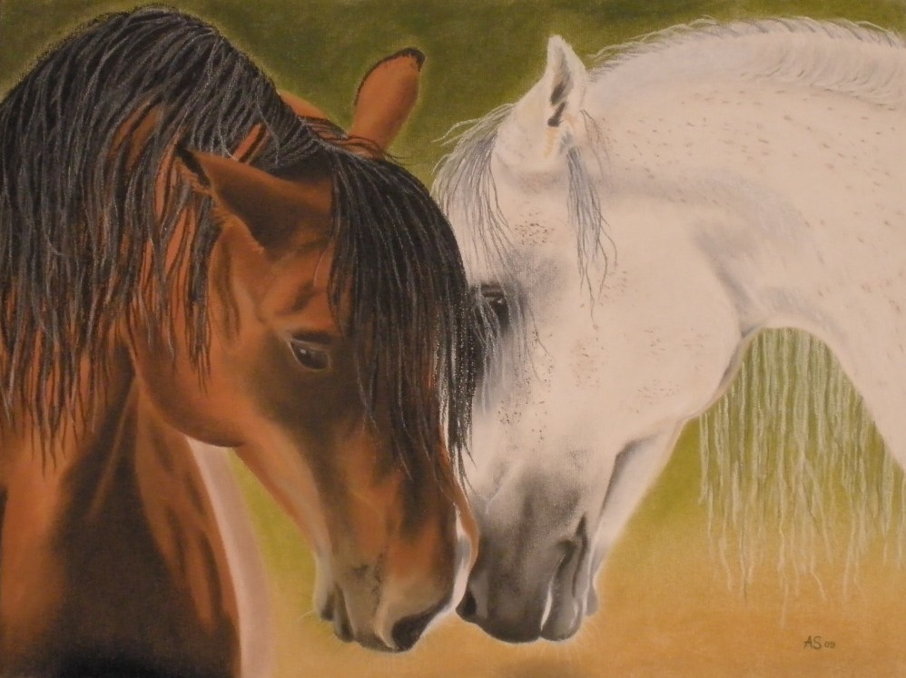 Pferde - gemalt mit Pastellkreiden